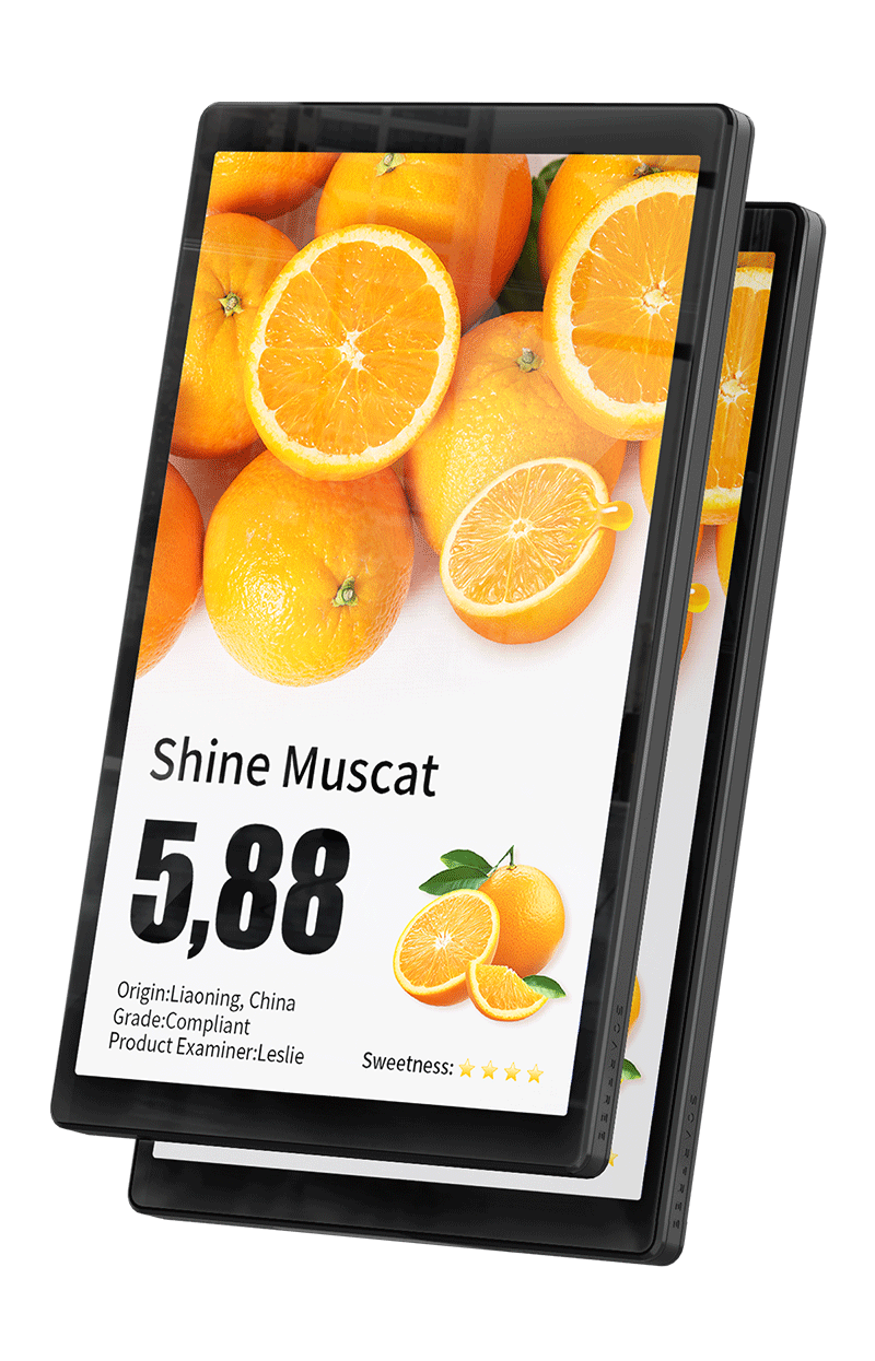 Электронный  ценник 10,1-дюймовый односторонний