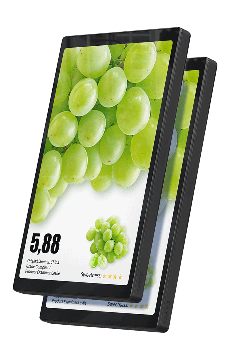 Электронный  ценник 10,1-дюймовый двухсторонний