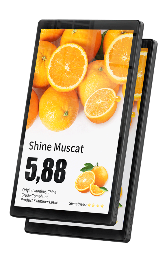 Электронный  ценник 10,1-дюймовый односторонний