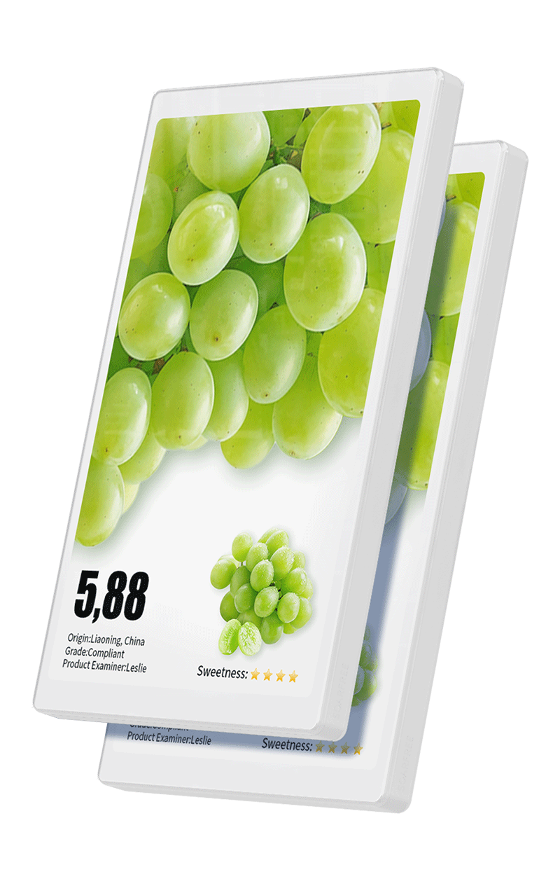 Электронный  ценник 10,1-дюймовый двухсторонний