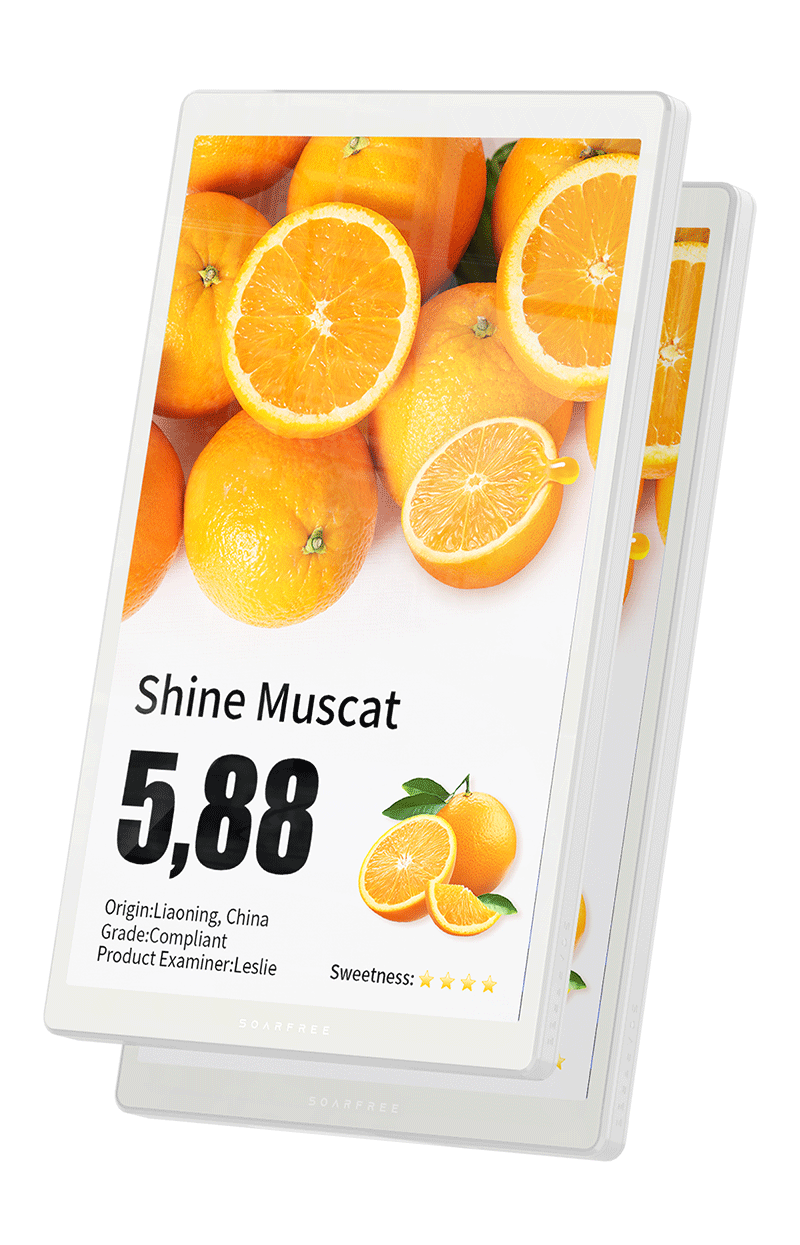 Электронный  ценник 10,1-дюймовый односторонний