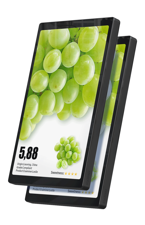 Электронный  ценник 10,1-дюймовый двухсторонний